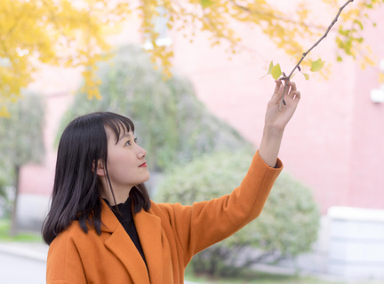 菲律宾大使馆能办理结婚证吗(结婚证办理指南)